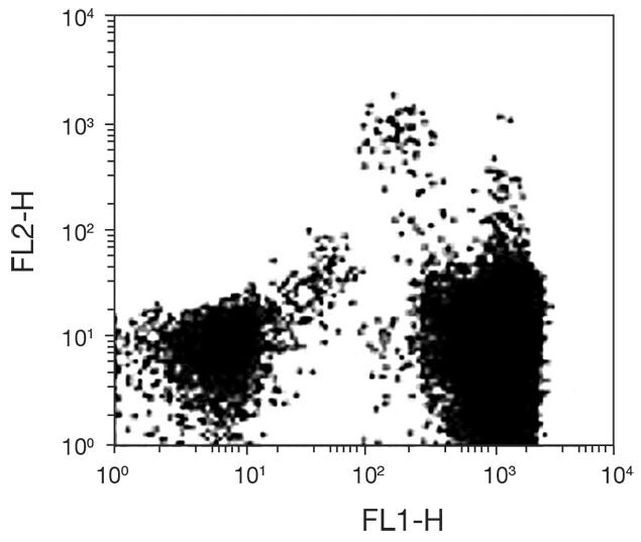 CD34 Antibody in Flow Cytometry (Flow)