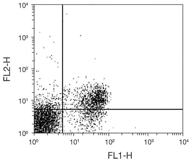 CD28 Antibody in Flow Cytometry (Flow)