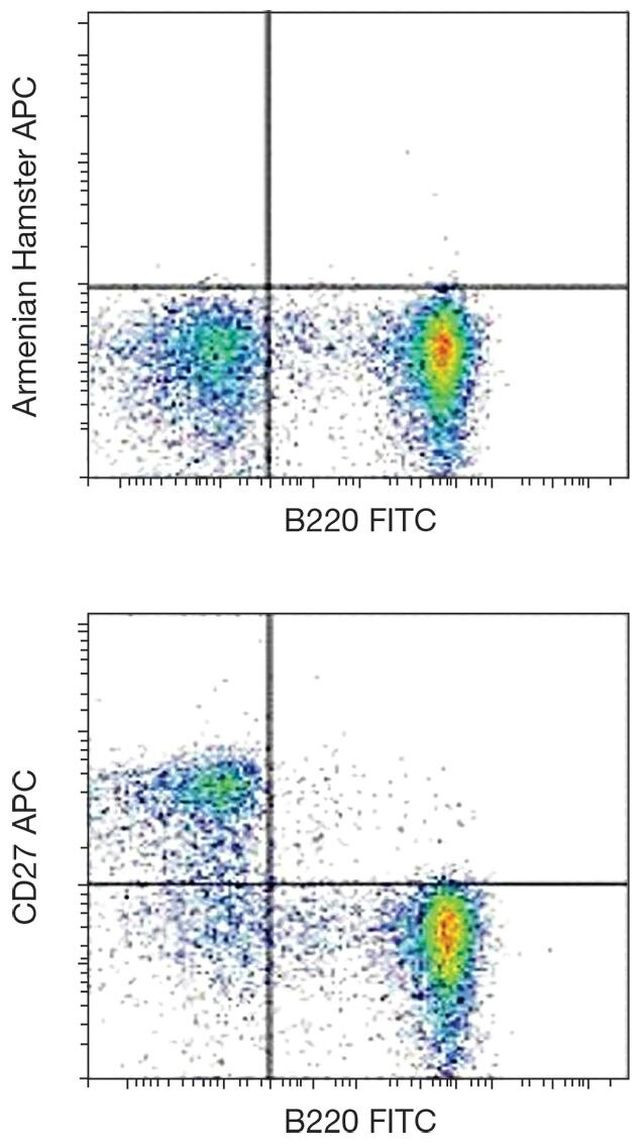 CD27 Antibody in Flow Cytometry (Flow)
