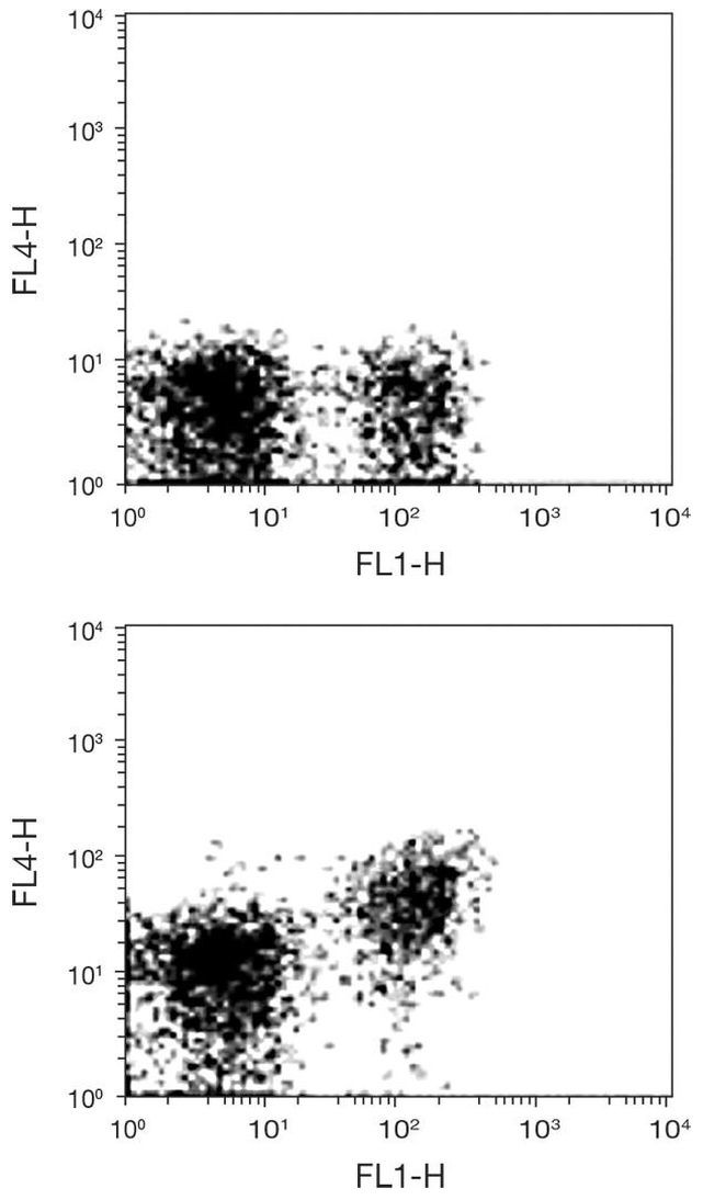 CD28 Antibody in Flow Cytometry (Flow)