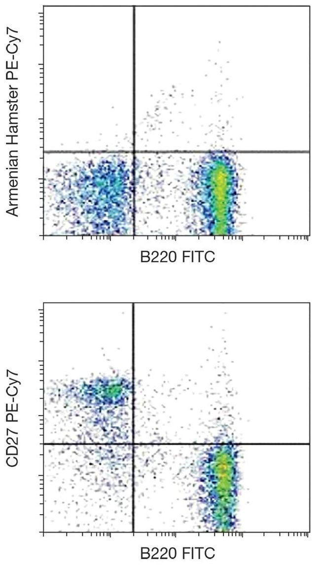 CD27 Antibody in Flow Cytometry (Flow)