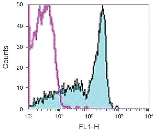 CD45RB Antibody in Flow Cytometry (Flow)