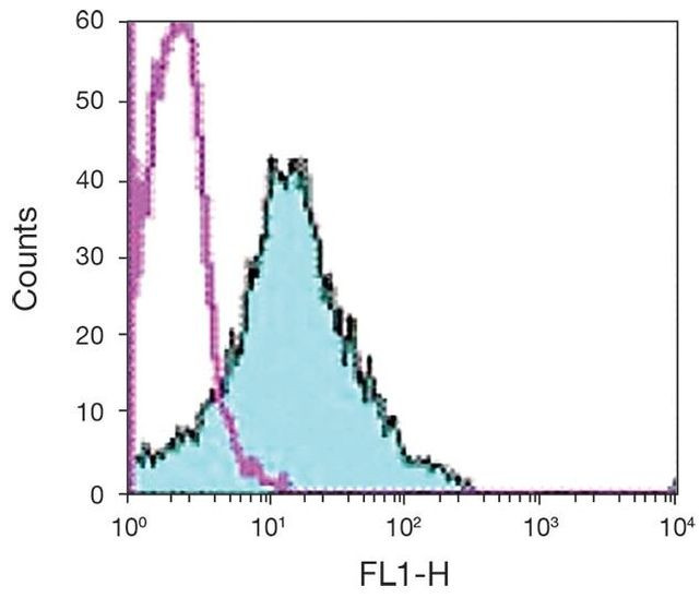 ICAM-1 Antibody in Flow Cytometry (Flow)