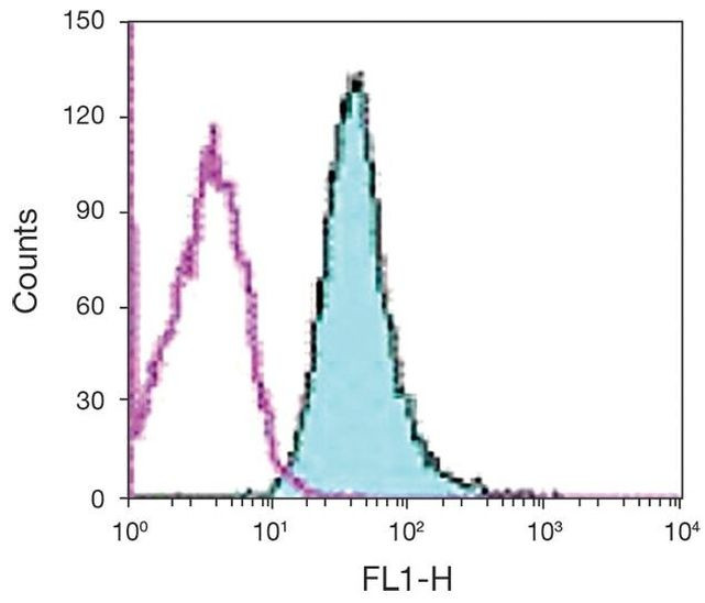 CD98 Antibody in Flow Cytometry (Flow)
