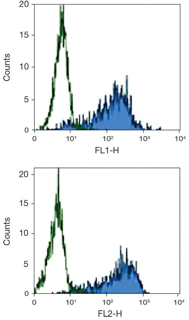 CD86 Antibody in Flow Cytometry (Flow)