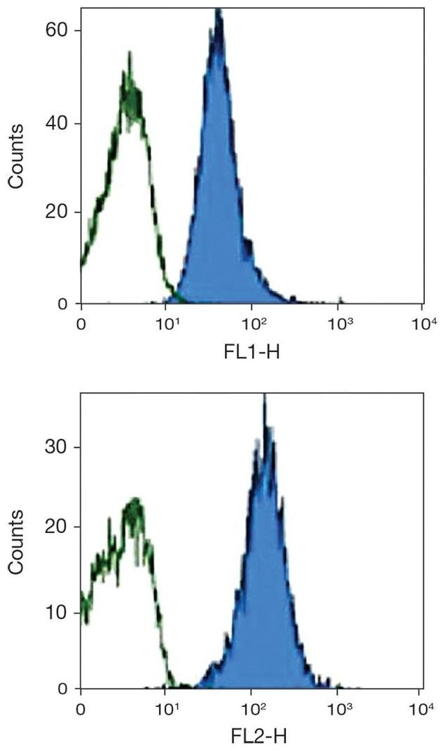 CD98 Antibody in Flow Cytometry (Flow)
