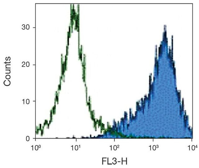 CD86 Antibody in Flow Cytometry (Flow)