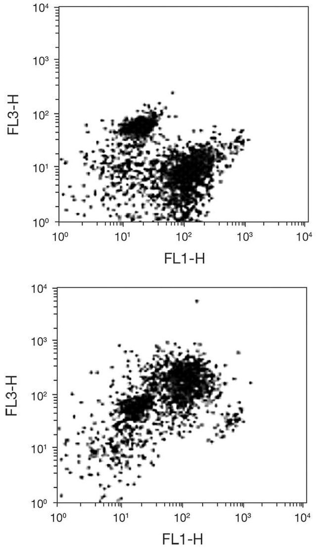 CD93 Antibody in Flow Cytometry (Flow)