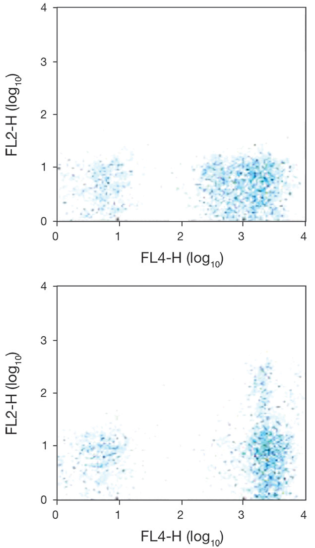 CCR5 Antibody in Flow Cytometry (Flow)