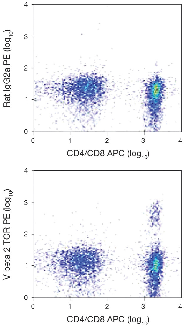 TCR V beta 2 Antibody in Flow Cytometry (Flow)
