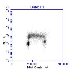 PCNA Antibody in Flow Cytometry (Flow)