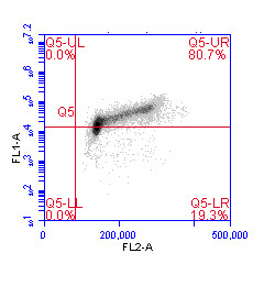 Phospho-MCM2 (Ser40, Ser41) Antibody in Flow Cytometry (Flow)