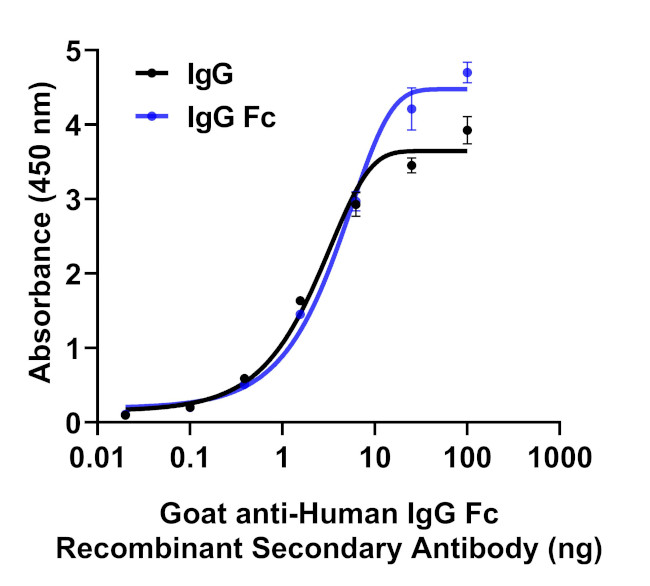 Anti Human Goat anti-Human IgG Fc Recombinant Secondary Antibody | Invitrogen (A55735)