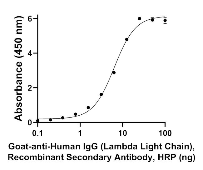 Anti Human Goat anti-Human IgG (Lambda light chain) Recombinant Secondary Antibody ...
