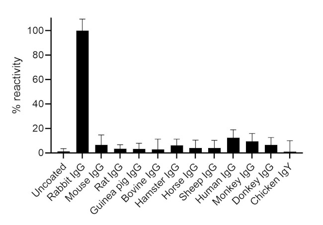 F(ab)-Goat anti-Rabbit IgG Fc Secondary Antibody, Alexa Fluor™ 568 ...