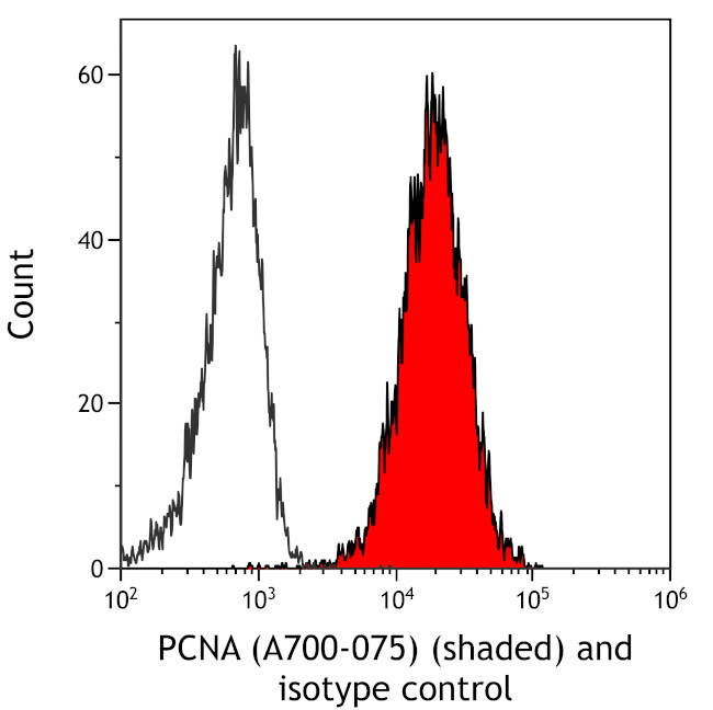 PCNA Antibody in Flow Cytometry (Flow)