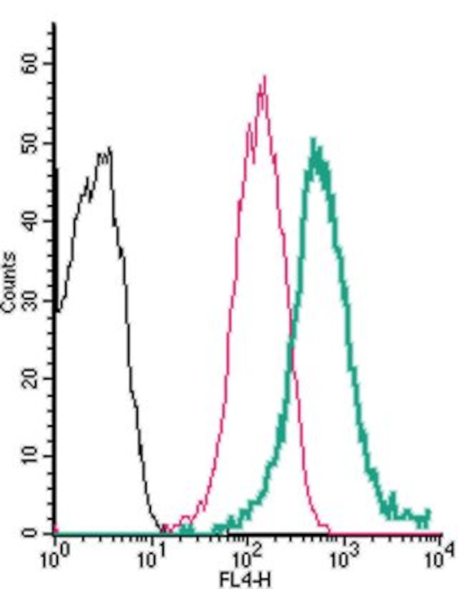 Adenosine A2B Receptor (extracellular) Antibody in Flow Cytometry (Flow)