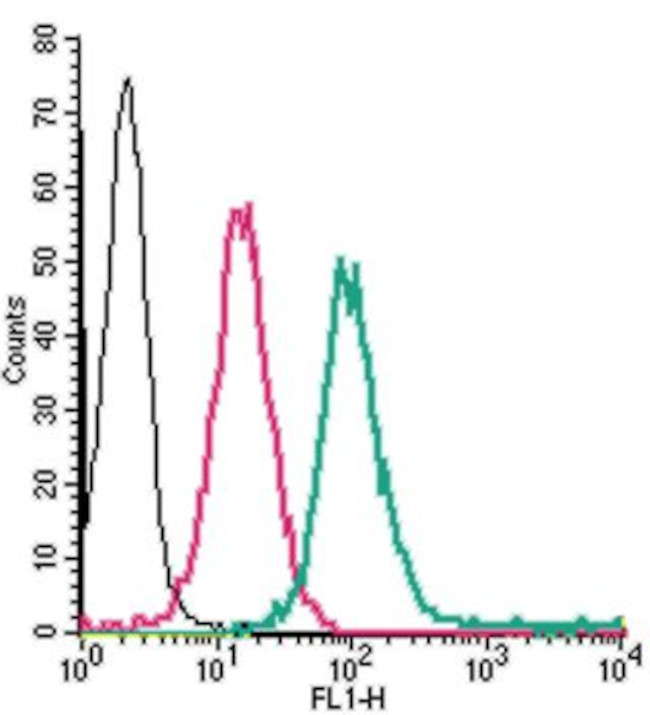 Adenosine A2A Receptor (extracellular) Antibody in Flow Cytometry (Flow)