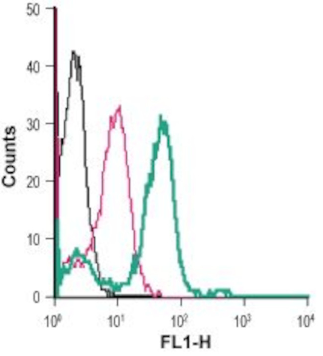 Angiotensin II Receptor Type-1 (extracellular) Antibody in Flow Cytometry (Flow)