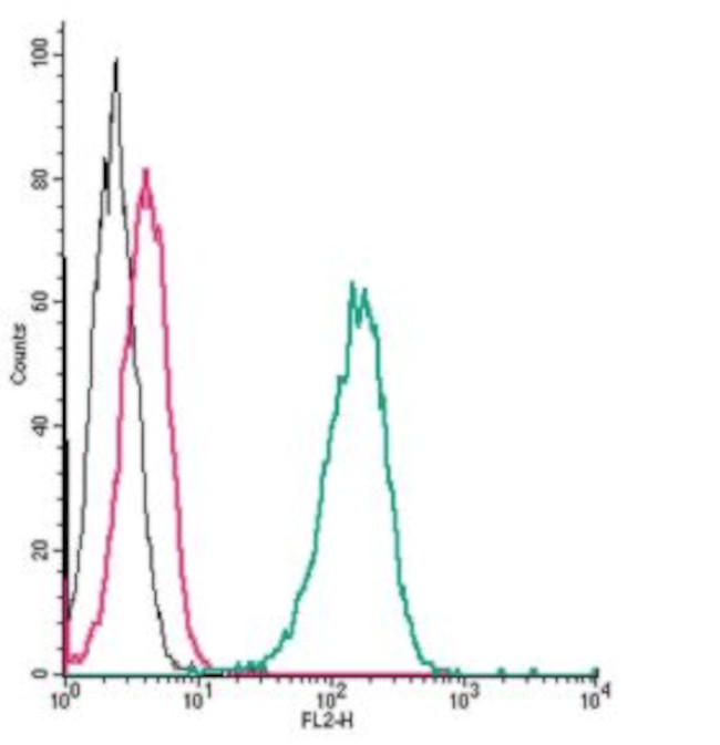 beta 2-Adrenoceptor (extracellular) Antibody in Flow Cytometry (Flow)