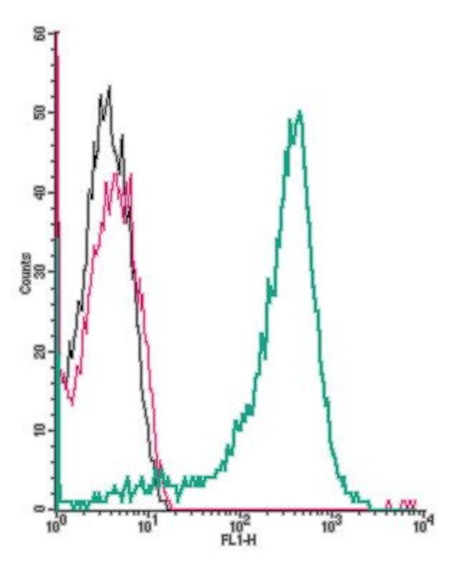 Adenosine A3 Receptor (extracellular) Antibody in Flow Cytometry (Flow)