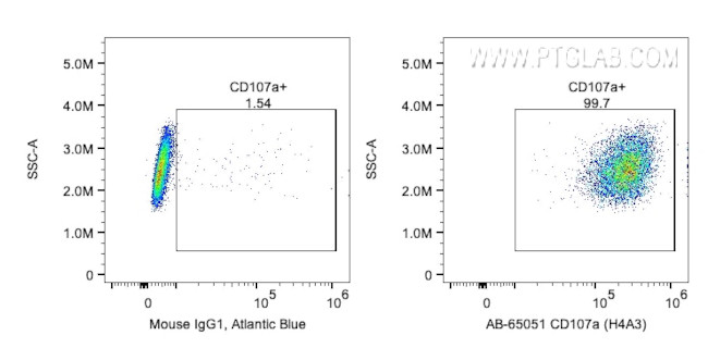 CD107a/LAMP1 Antibody in Flow Cytometry (Flow)