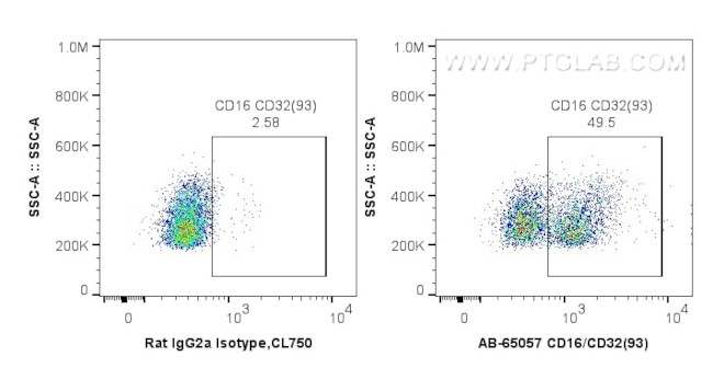 CD16/32 Antibody in Flow Cytometry (Flow)