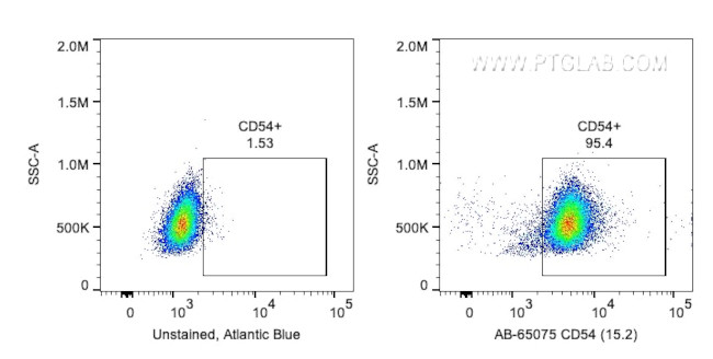 CD54 (ICAM-1) Antibody in Flow Cytometry (Flow)