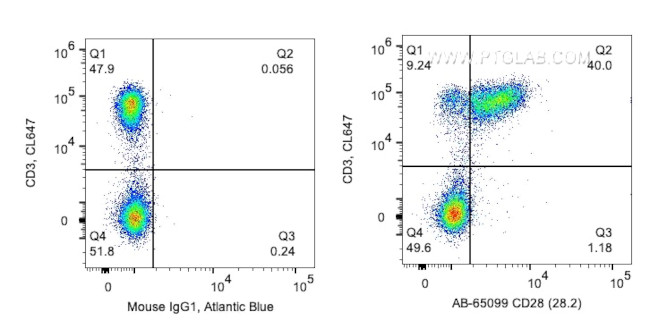 CD28 Antibody in Flow Cytometry (Flow)