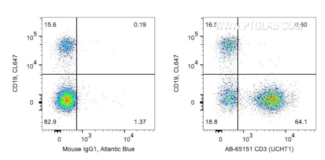 CD3 Antibody in Flow Cytometry (Flow)