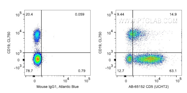 CD5 Antibody in Flow Cytometry (Flow)