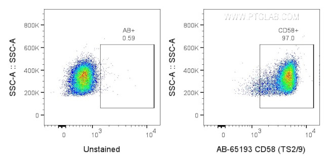 CD58 Antibody in Flow Cytometry (Flow)