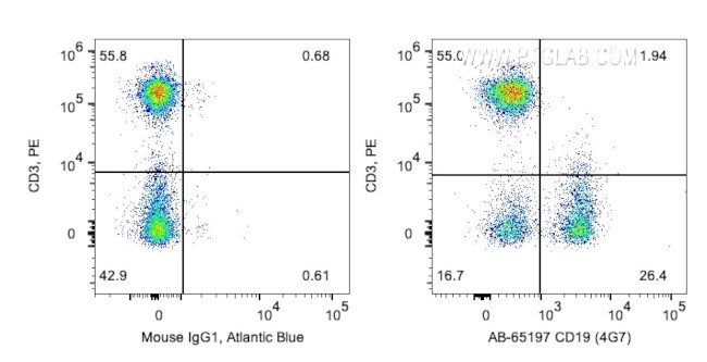 CD19 Antibody in Flow Cytometry (Flow)