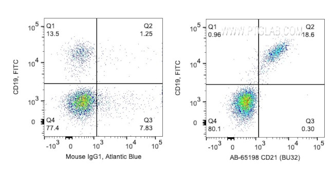 CD21 Antibody in Flow Cytometry (Flow)