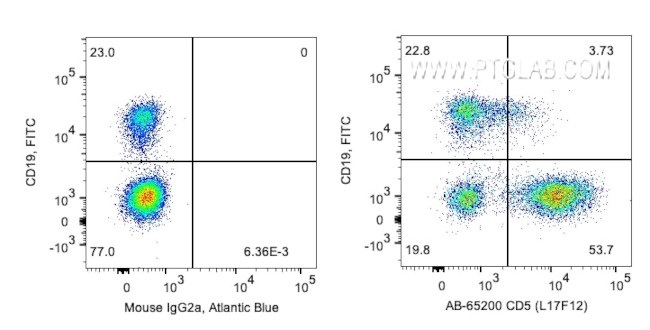 CD5 Antibody in Flow Cytometry (Flow)