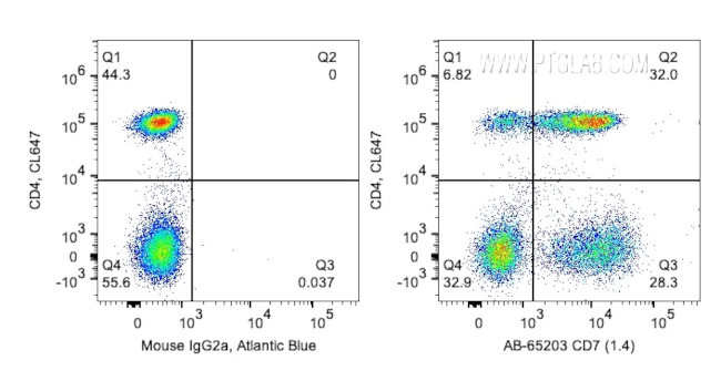 CD7 Antibody in Flow Cytometry (Flow)
