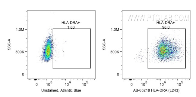HLA-DR Antibody in Flow Cytometry (Flow)