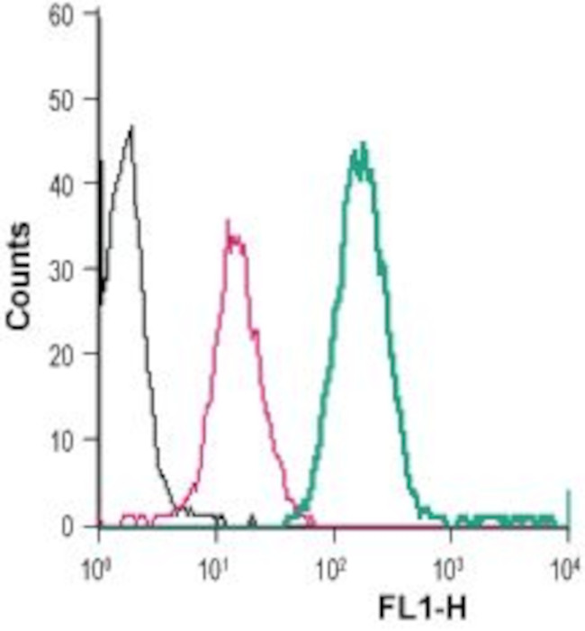 BAI1 (extracellular) Antibody in Flow Cytometry (Flow)