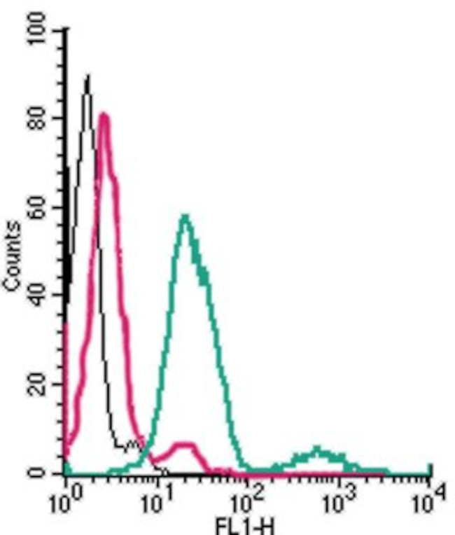 TRPV2 (VRL1) (extracellular) Antibody in Flow Cytometry (Flow)