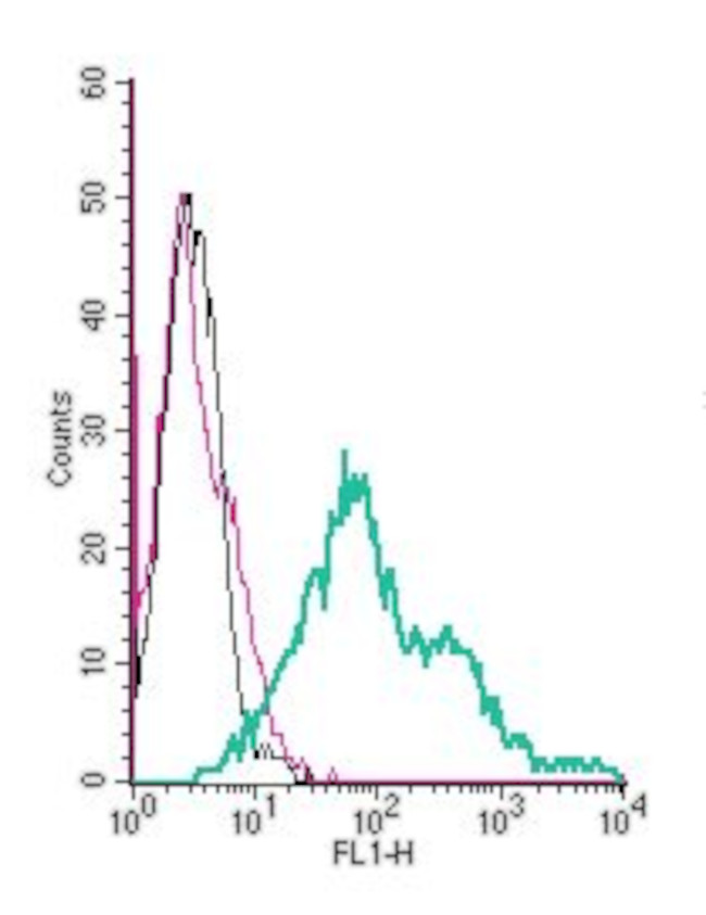 TRPC6 (extracellular) Antibody in Flow Cytometry (Flow)