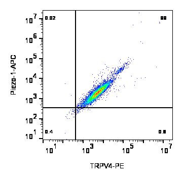 TRPV4 (extracellular) Antibody in Flow Cytometry (Flow)