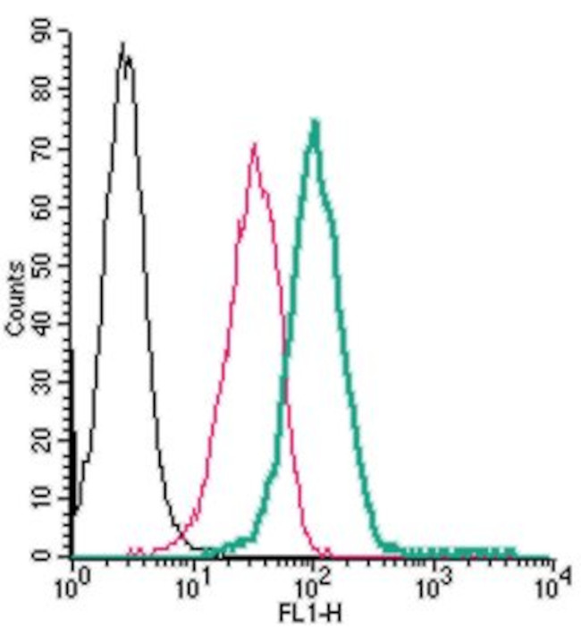 TRPM2 (extracellular) Antibody in Flow Cytometry (Flow)