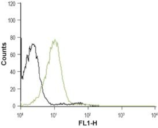 CXCR4 (extracellular) Antibody in Flow Cytometry (Flow)