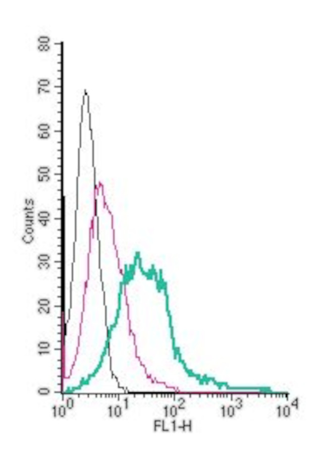 CXCR4 (extracellular) Antibody in Flow Cytometry (Flow)
