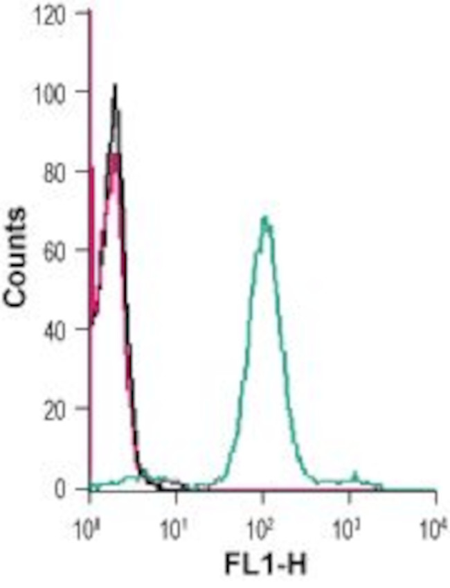CCR2 (extracellular) Antibody in Flow Cytometry (Flow)