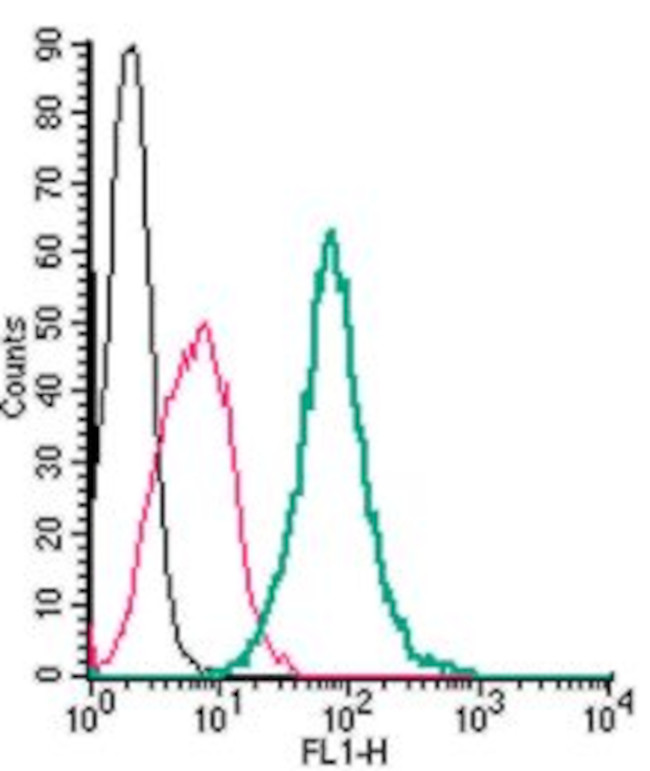 GPR55 (extracellular) Antibody in Flow Cytometry (Flow)