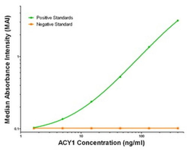 ACY1 Antibody in ELISA (ELISA)