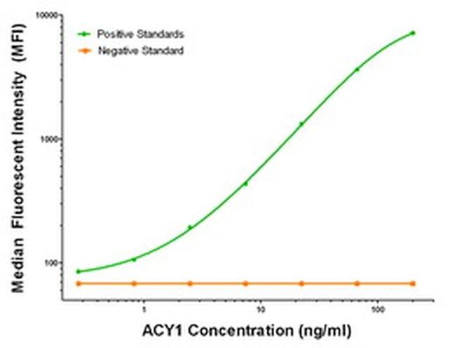 ACY1 Antibody in Luminex (LUM)