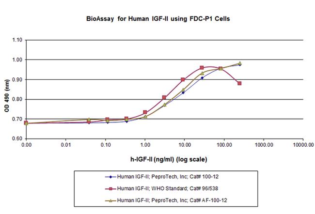 Human IGF-II, Animal-Free Protein in Bioactivity (Bioactivity)