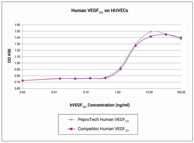 Human VEGF-121, Animal-Free Protein in Bioactivity (Bioactivity)